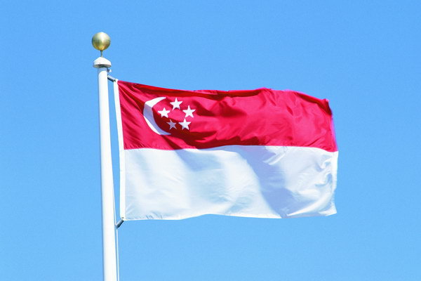 سنغافورة تتخلف عن السداد