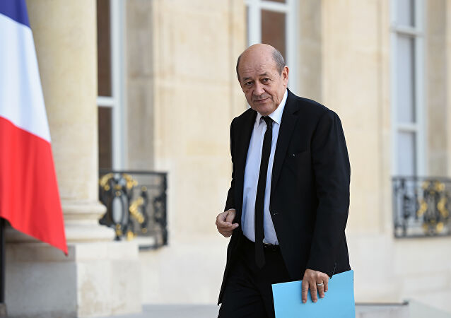 زيارة وزير الخارجية الفرنسي